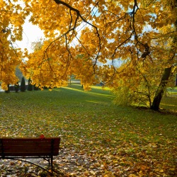 Gartentipps f&uuml;r den Oktober