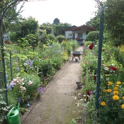 Altersgerechtes G&auml;rtnern &ndash; einmal Garten immer Garten &nbsp; &nbsp;&nbsp;