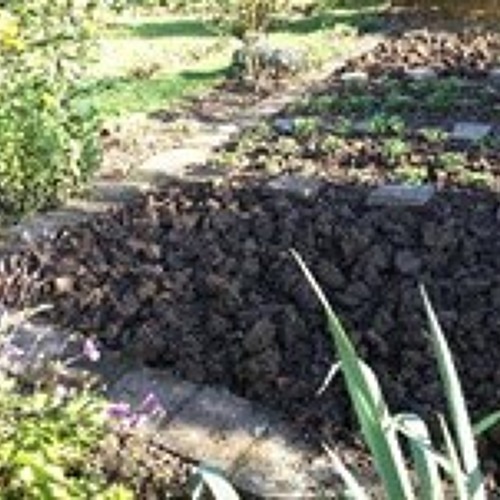 Tipps zur richtigen Bew&auml;sserung im Garten &nbsp; &nbsp;