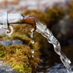Das richtige Wassermanagement im Garten