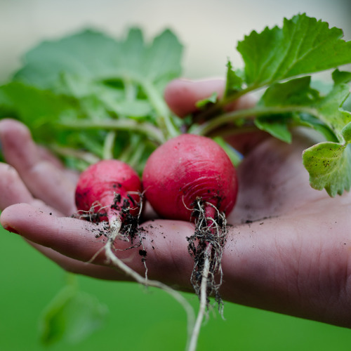 Anmeldeformular f&uuml;r Bewerber